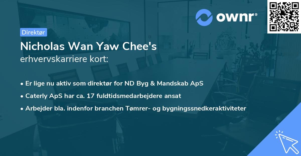 Nicholas Wan Yaw Chee's erhvervskarriere kort
