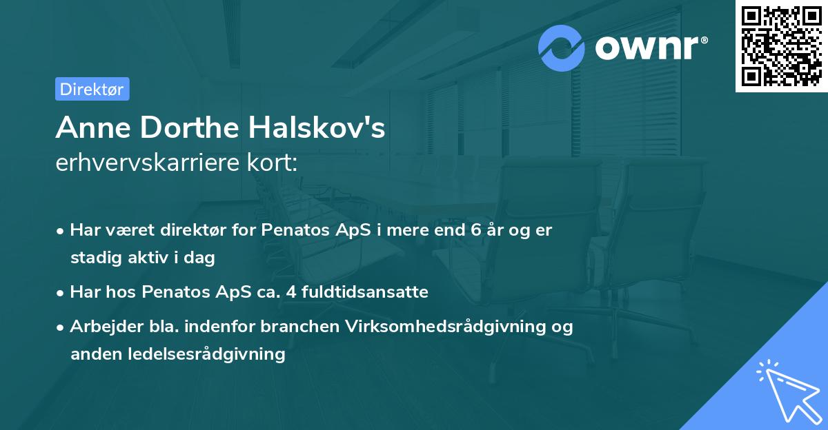 Anne Dorthe Halskov's erhvervskarriere kort