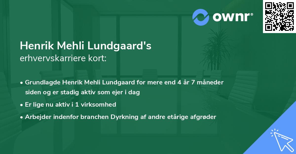 Henrik Mehli Lundgaard's erhvervskarriere kort