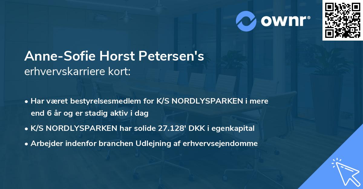 Anne-Sofie Horst Petersen's erhvervskarriere kort