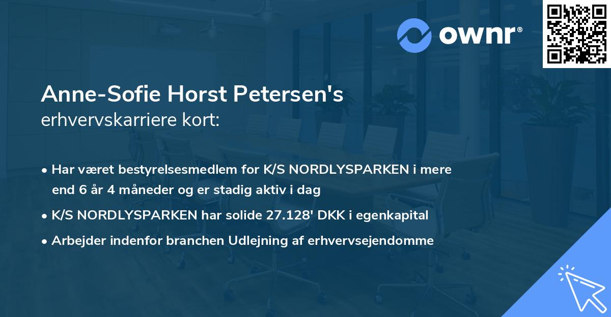 Anne-Sofie Horst Petersen's erhvervskarriere kort