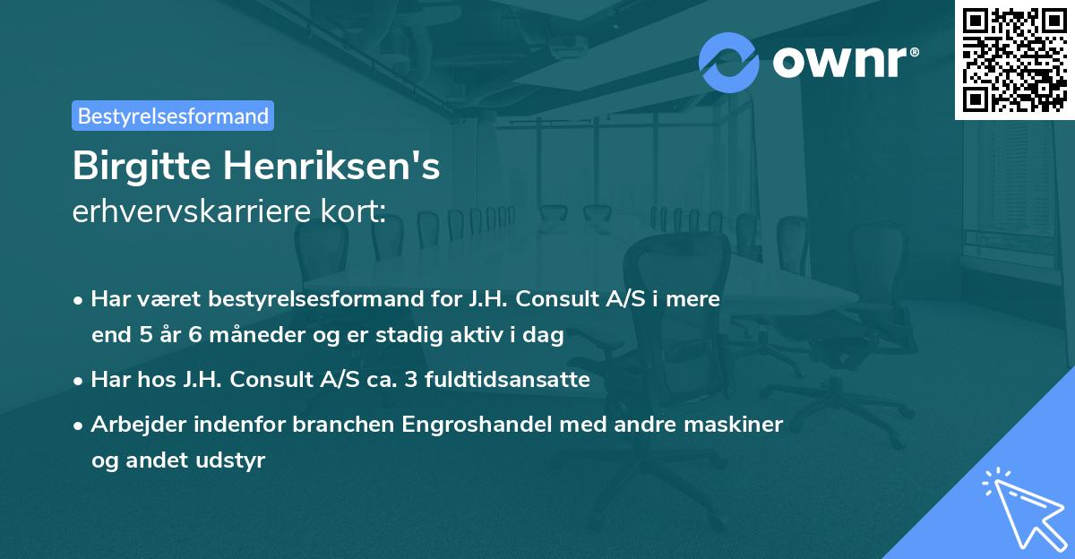 Birgitte Henriksen's erhvervskarriere kort