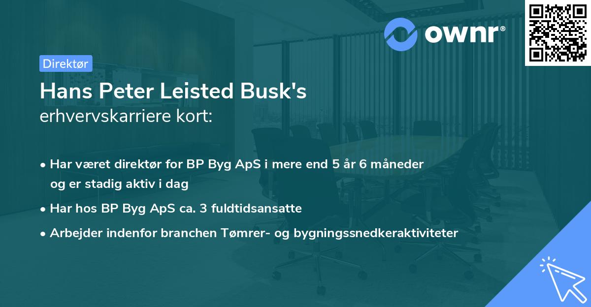 Hans Peter Leisted Busk's erhvervskarriere kort