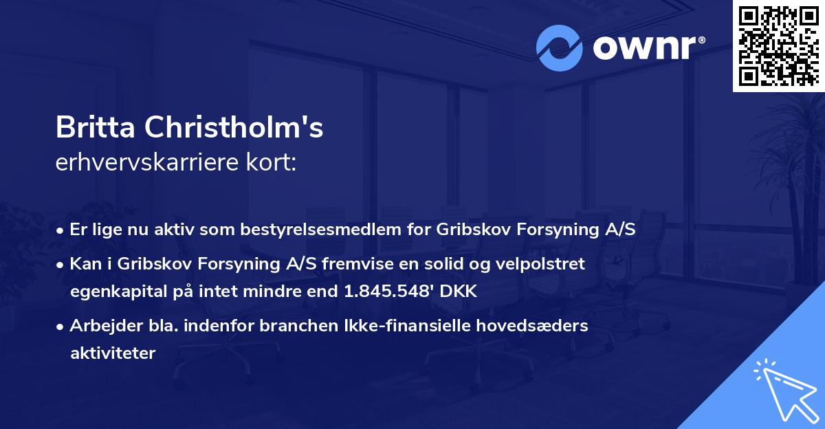 Britta Christholm's erhvervskarriere kort