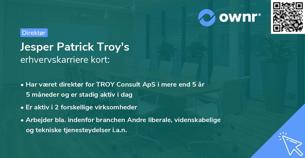 Jesper Patrick Troy's erhvervskarriere kort
