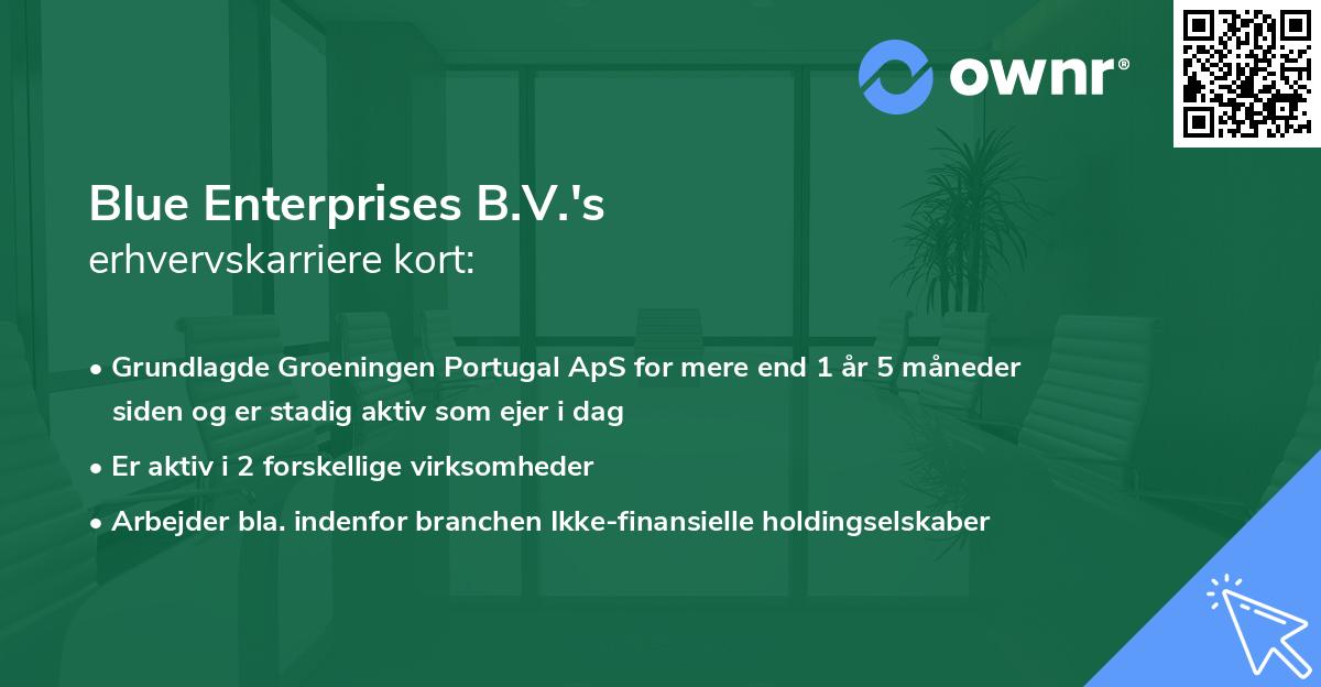 Blue Enterprises B.V.'s erhvervskarriere kort