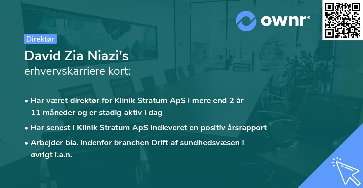 David Zia Niazi's erhvervskarriere kort