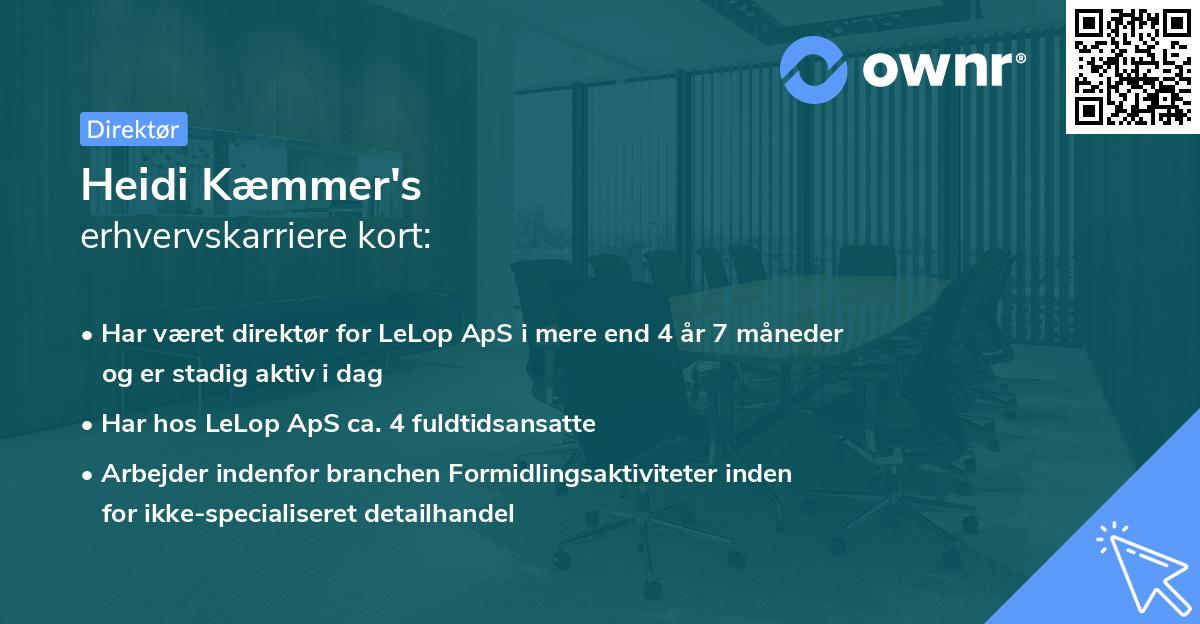 Heidi Kæmmer's erhvervskarriere kort