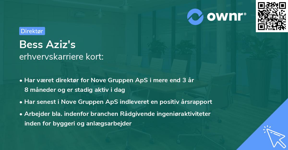 Bess Aziz's erhvervskarriere kort