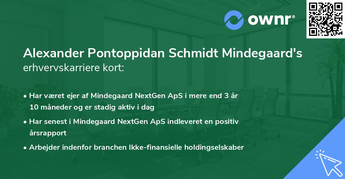 Alexander Pontoppidan Schmidt Mindegaard's erhvervskarriere kort