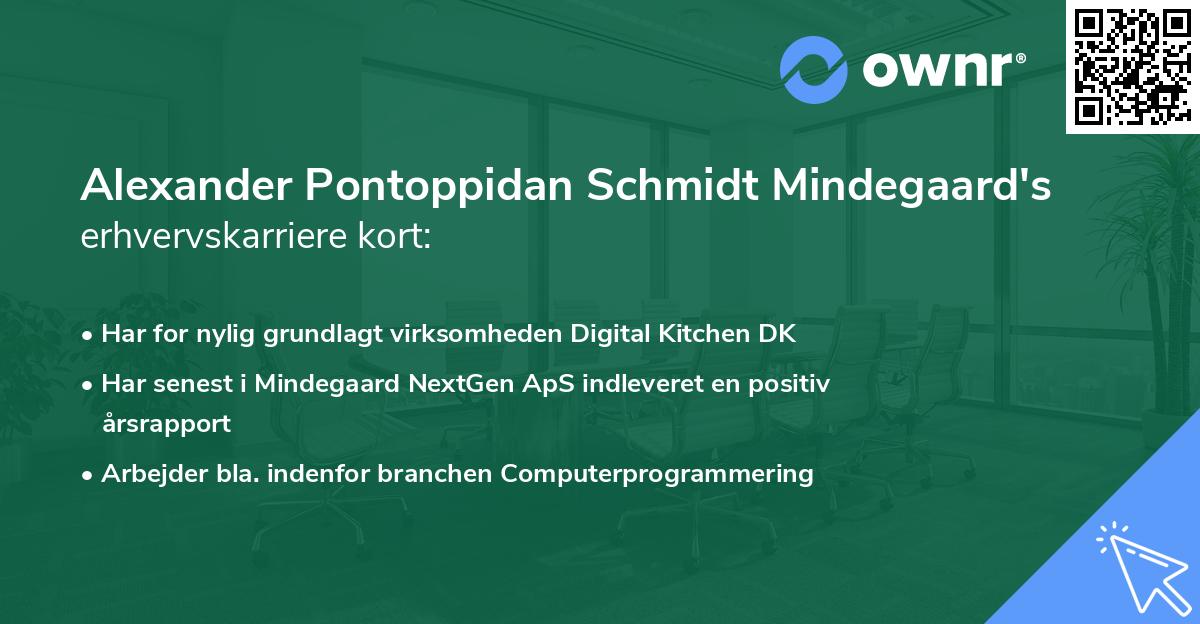 Alexander Pontoppidan Schmidt Mindegaard's erhvervskarriere kort
