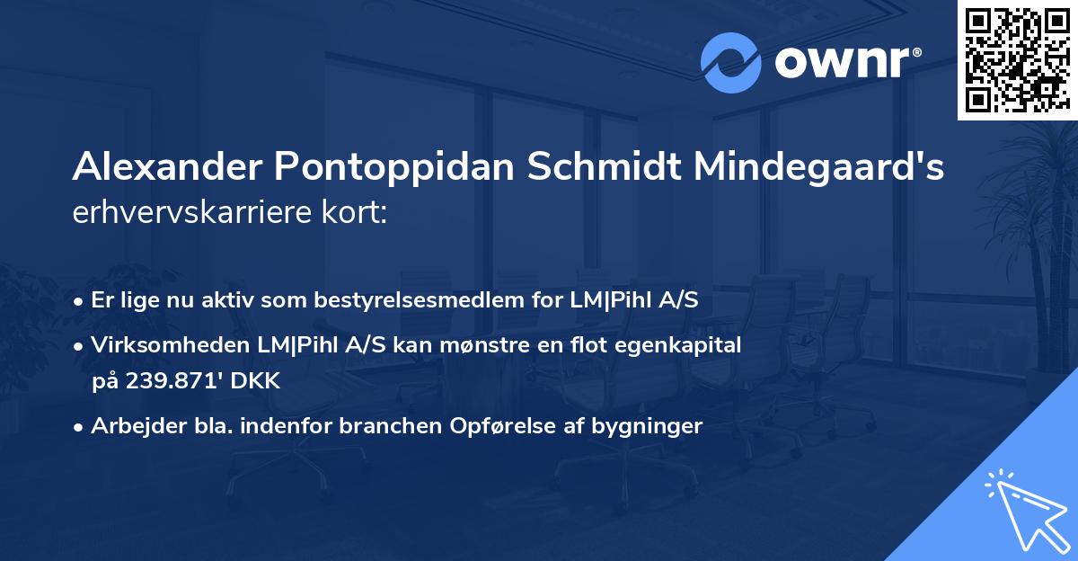 Alexander Pontoppidan Schmidt Mindegaard's erhvervskarriere kort