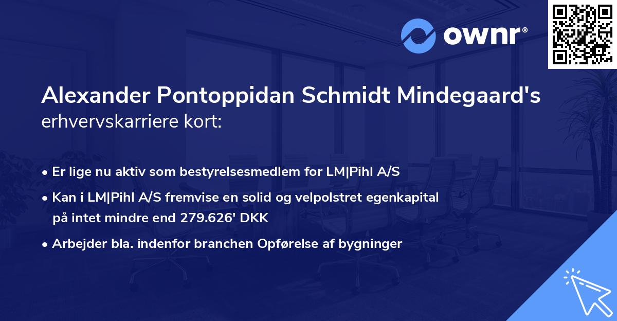 Alexander Pontoppidan Schmidt Mindegaard's erhvervskarriere kort