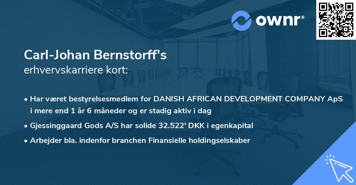 Carl-Johan Bernstorff's erhvervskarriere kort
