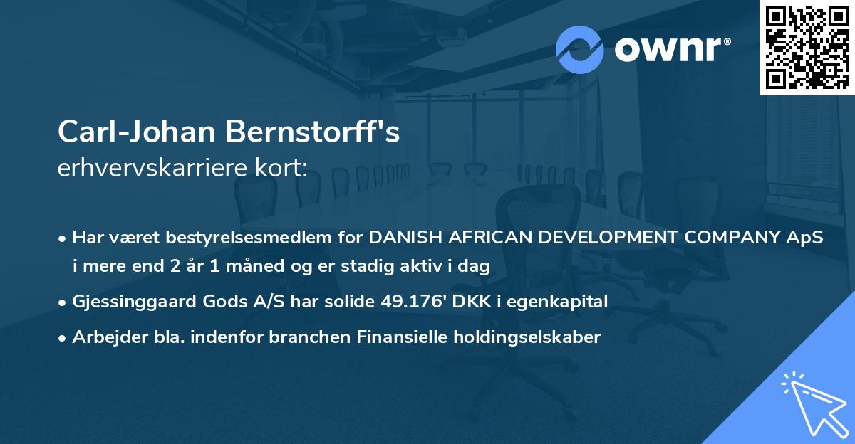 Carl-Johan Bernstorff's erhvervskarriere kort