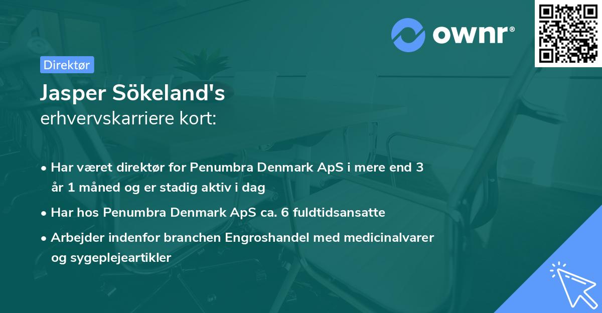 Jasper Sökeland's erhvervskarriere kort