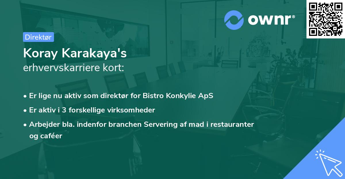 Koray Karakaya's erhvervskarriere kort