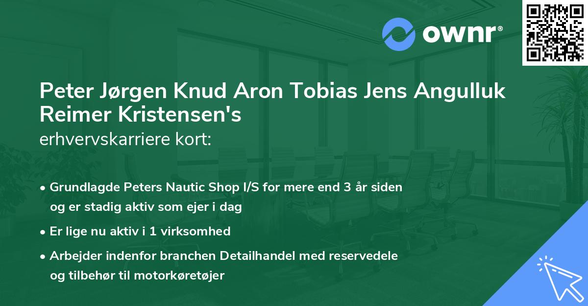 Peter Jørgen Knud Aron Tobias Jens Angulluk Reimer Kristensen's erhvervskarriere kort