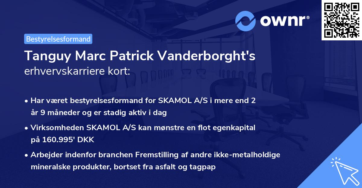 Tanguy Marc Patrick Vanderborght's erhvervskarriere kort