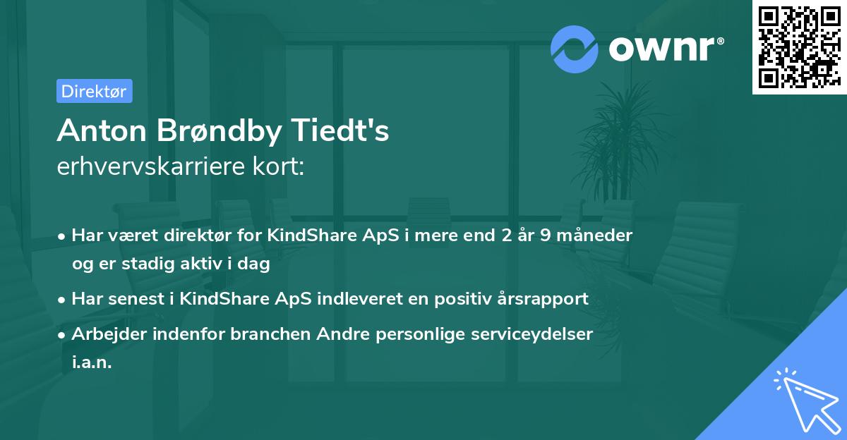 Anton Brøndby Tiedt's erhvervskarriere kort