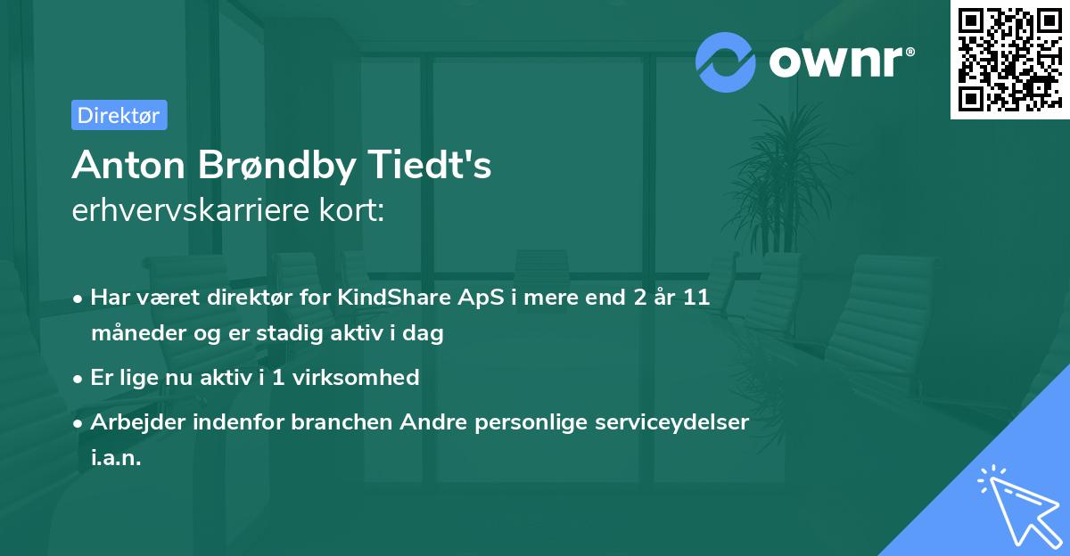 Anton Brøndby Tiedt's erhvervskarriere kort