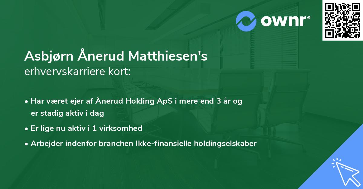 Asbjørn Ånerud Matthiesen's erhvervskarriere kort