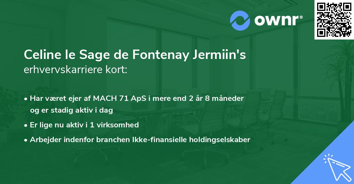 Celine le Sage de Fontenay Jermiin's erhvervskarriere kort