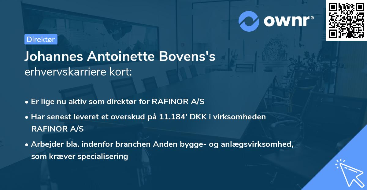 Johannes Antoinette Bovens's erhvervskarriere kort