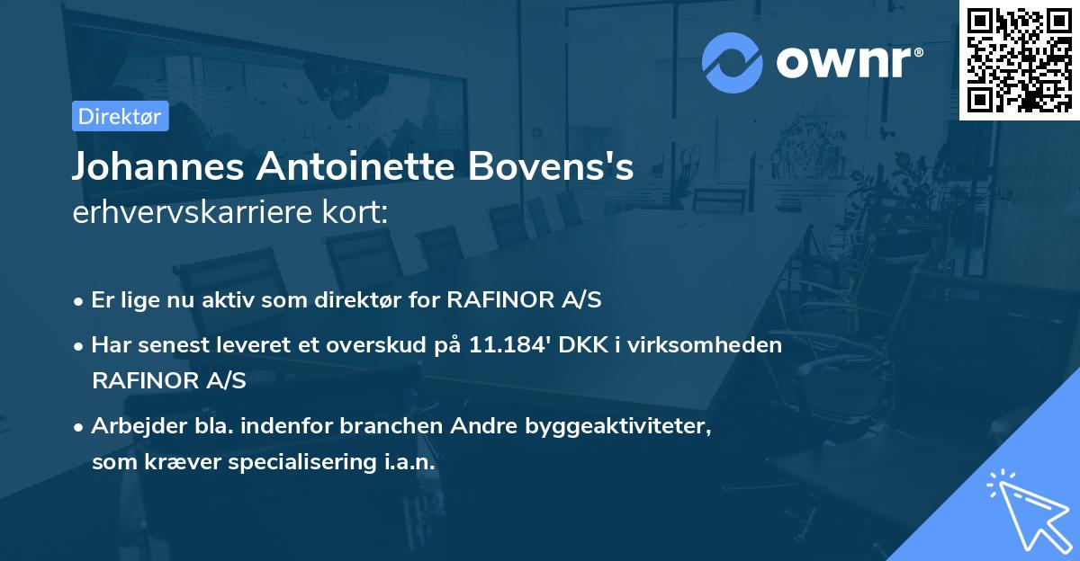 Johannes Antoinette Bovens's erhvervskarriere kort