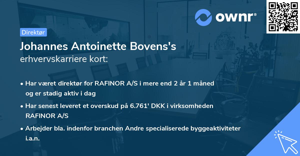Johannes Antoinette Bovens's erhvervskarriere kort