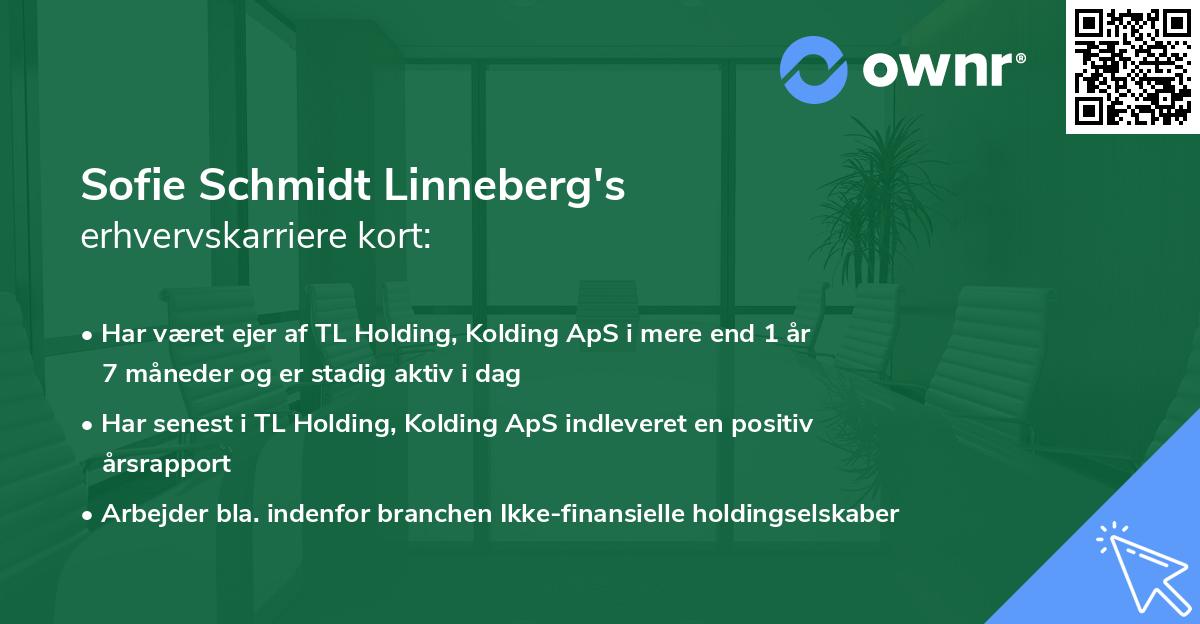 Sofie Schmidt Linneberg's erhvervskarriere kort