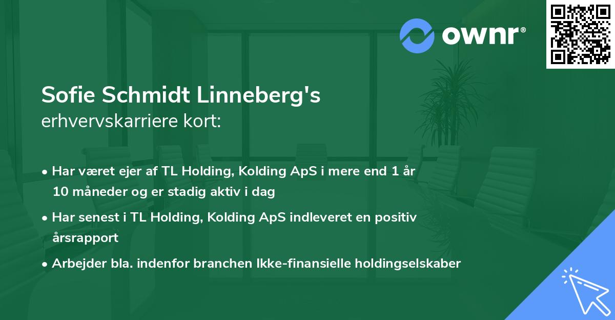 Sofie Schmidt Linneberg's erhvervskarriere kort
