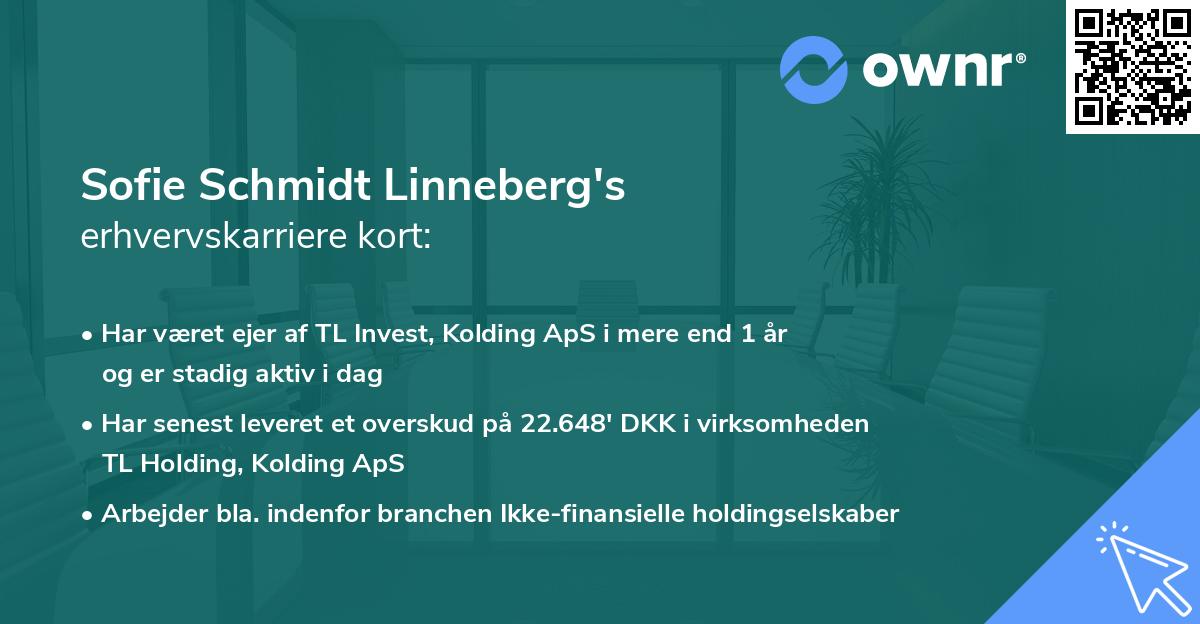 Sofie Schmidt Linneberg's erhvervskarriere kort