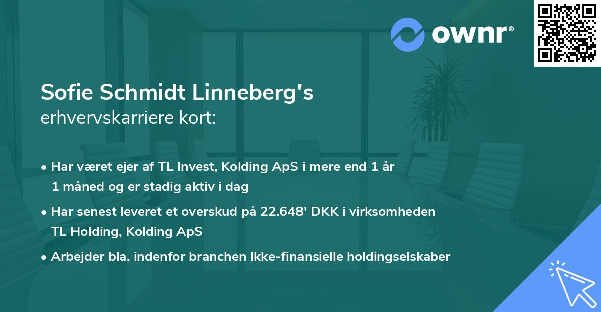 Sofie Schmidt Linneberg's erhvervskarriere kort