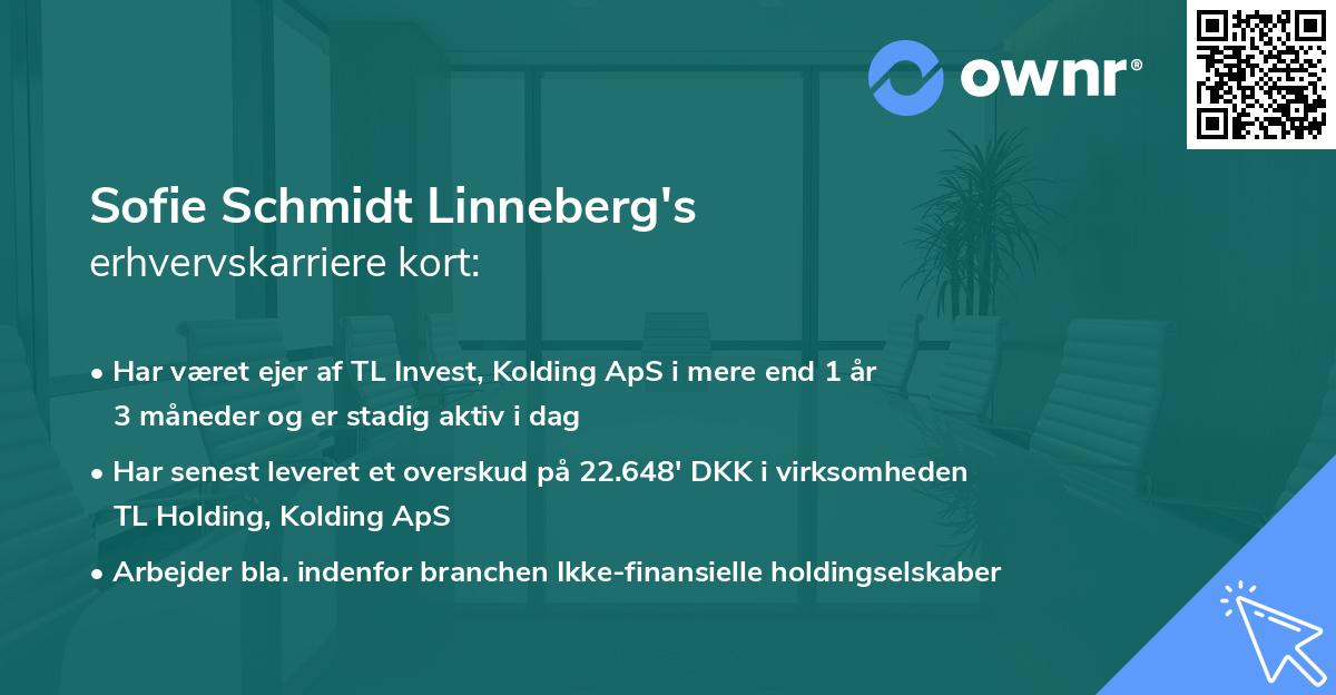 Sofie Schmidt Linneberg's erhvervskarriere kort
