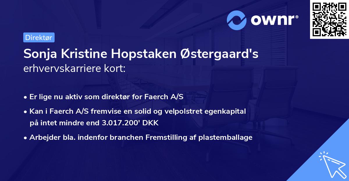 Sonja Kristine Hopstaken Østergaard's erhvervskarriere kort