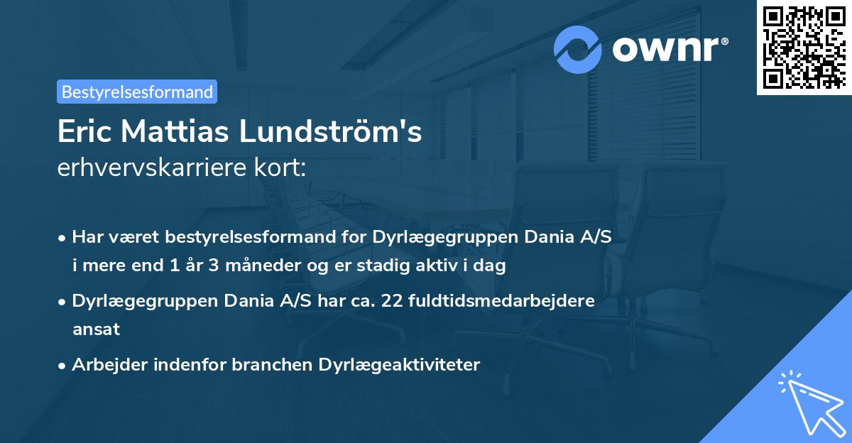 Eric Mattias Lundström's erhvervskarriere kort