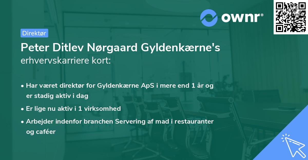 Peter Ditlev Nørgaard Gyldenkærne's erhvervskarriere kort