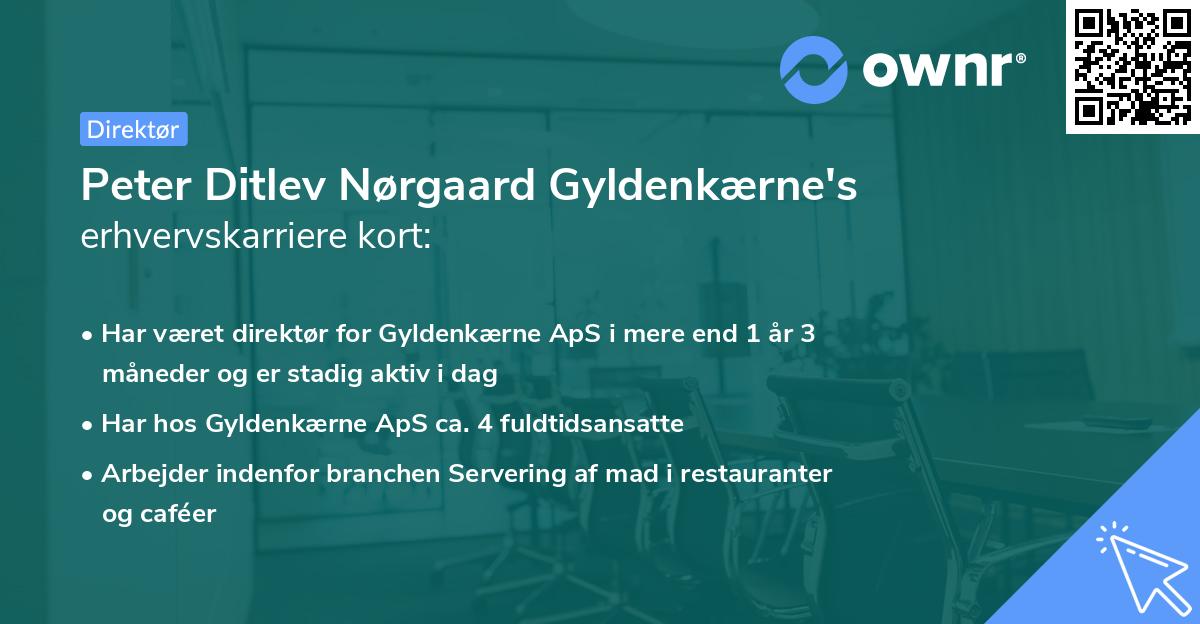 Peter Ditlev Nørgaard Gyldenkærne's erhvervskarriere kort