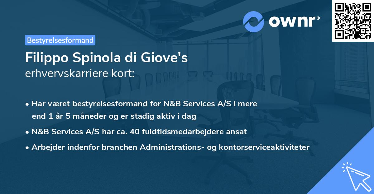 Filippo Spinola di Giove's erhvervskarriere kort