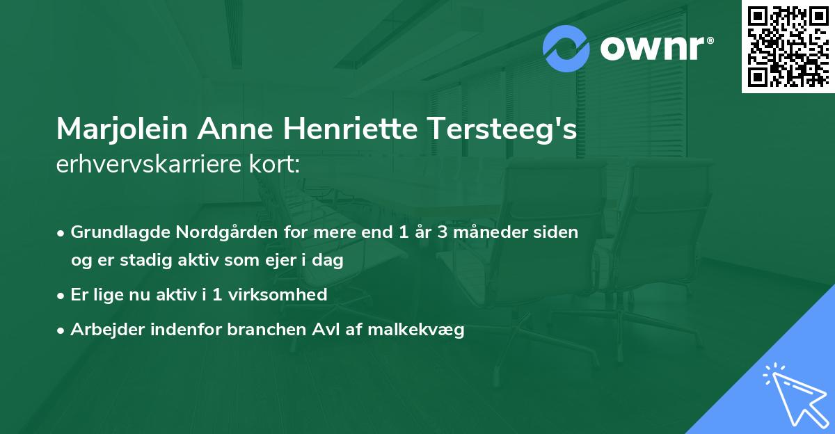 Marjolein Anne Henriette Tersteeg's erhvervskarriere kort