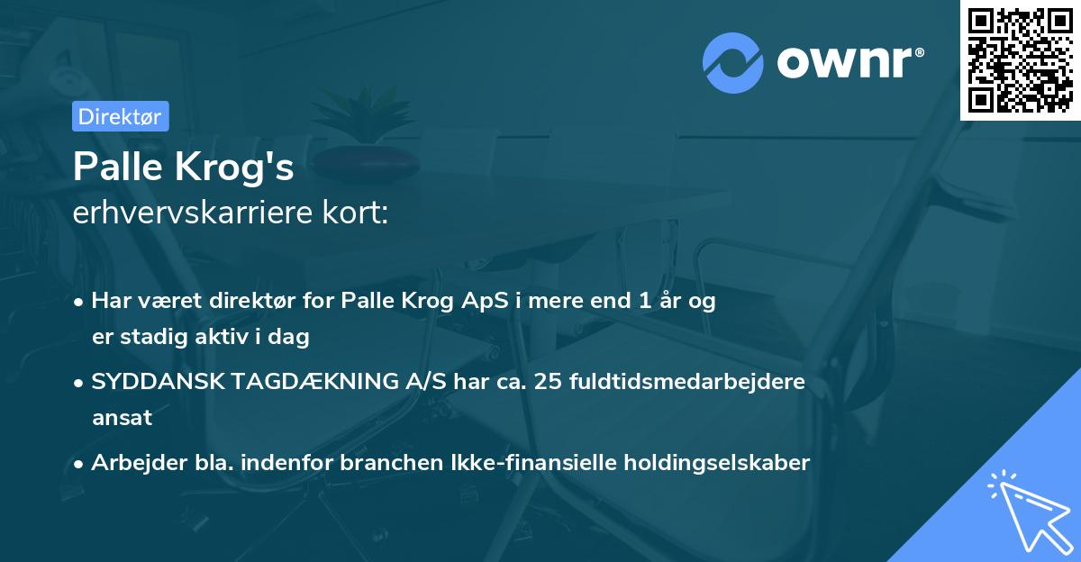 Palle Krog's erhvervskarriere kort