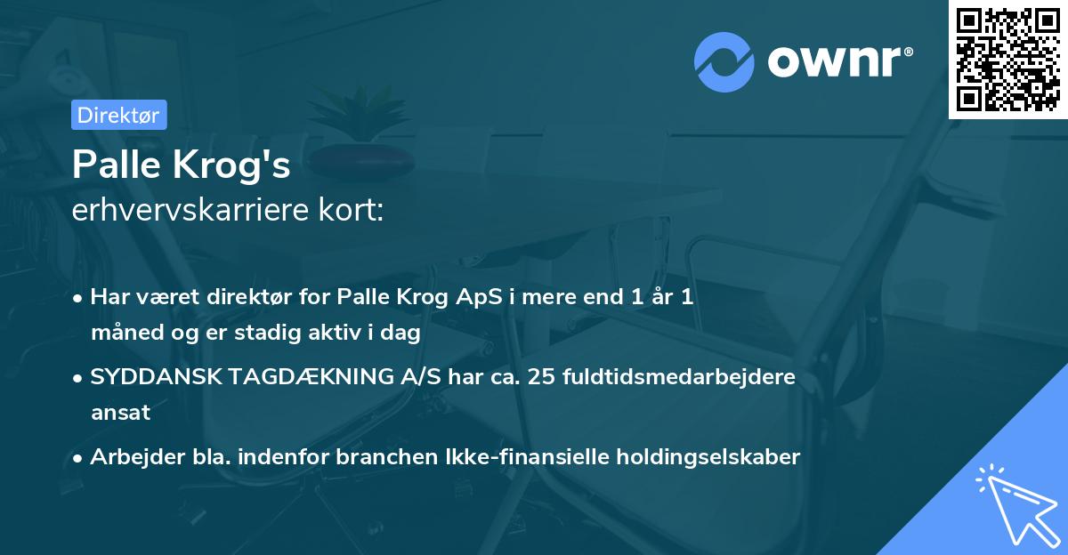 Palle Krog's erhvervskarriere kort