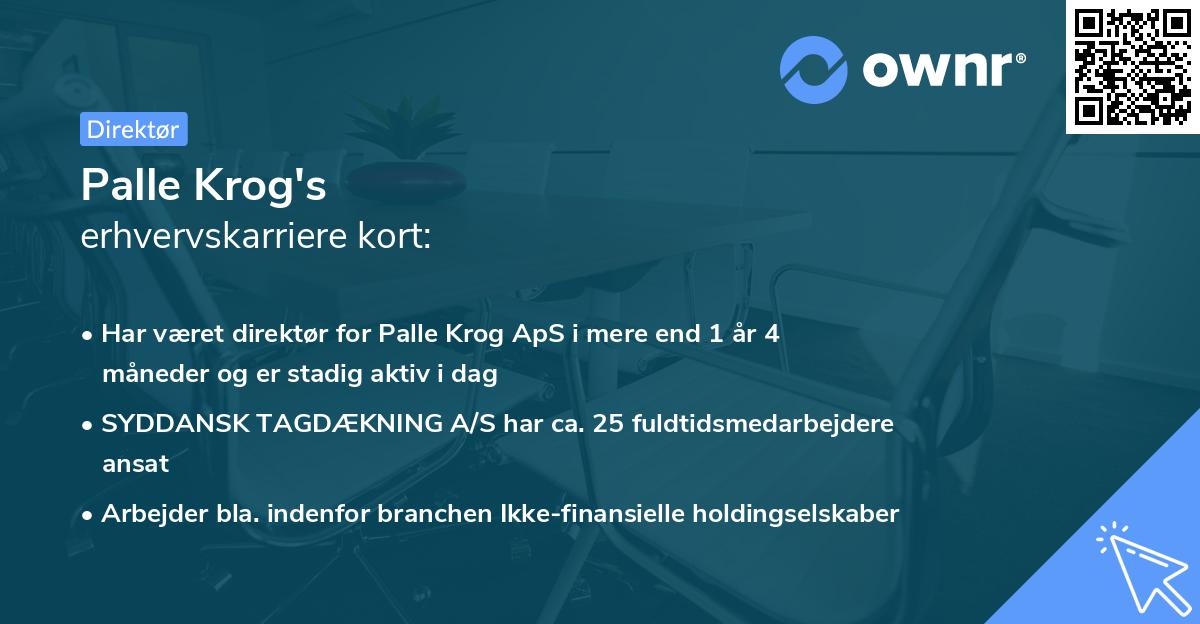 Palle Krog's erhvervskarriere kort