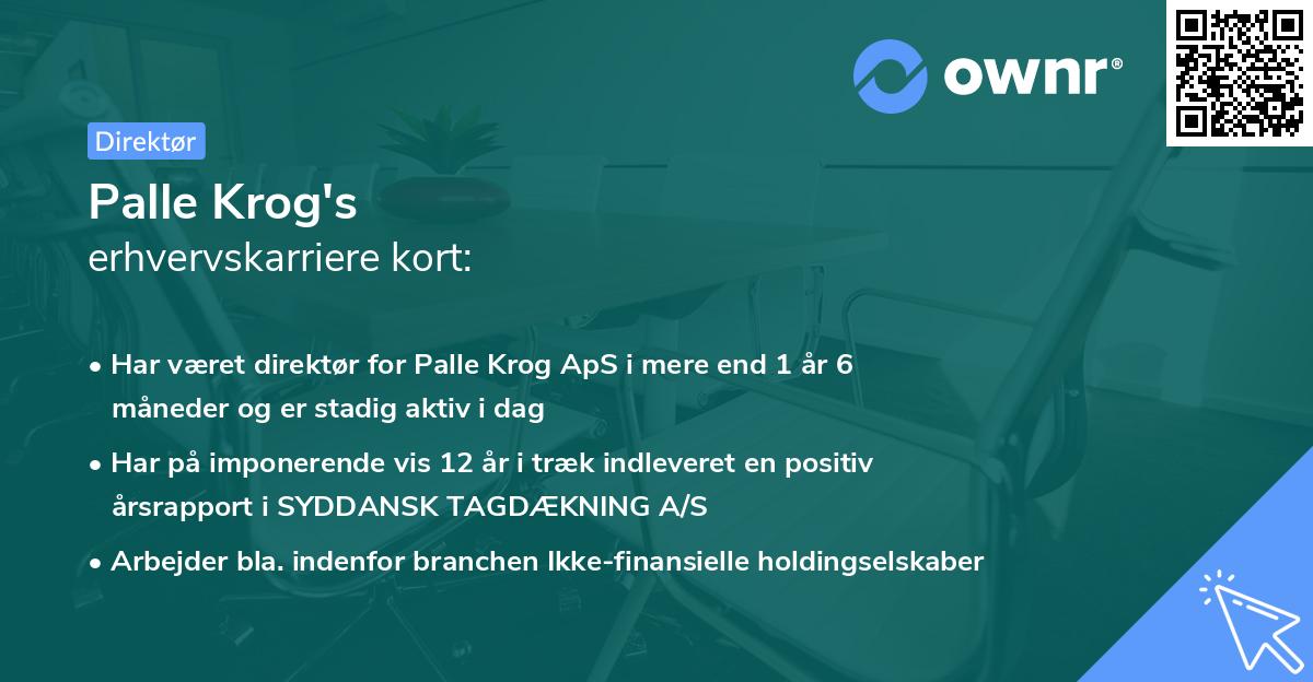Palle Krog's erhvervskarriere kort