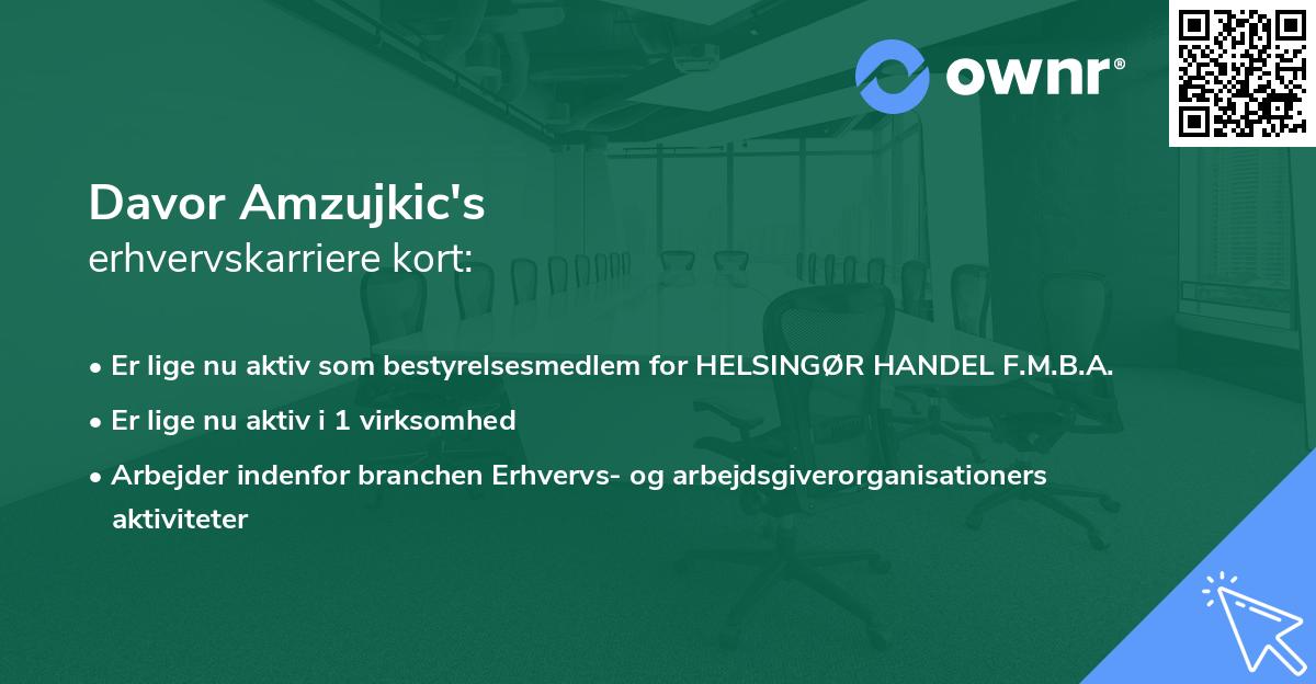 Davor Amzujkic's erhvervskarriere kort