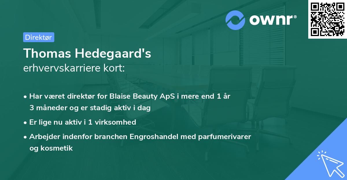 Thomas Hedegaard's erhvervskarriere kort