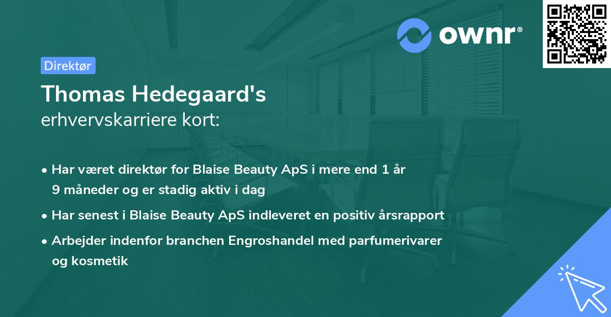 Thomas Hedegaard's erhvervskarriere kort