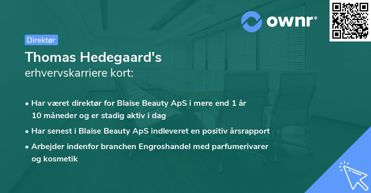 Thomas Hedegaard's erhvervskarriere kort