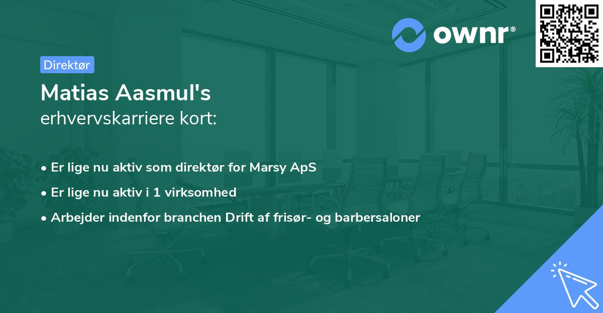 Matias Aasmul's erhvervskarriere kort